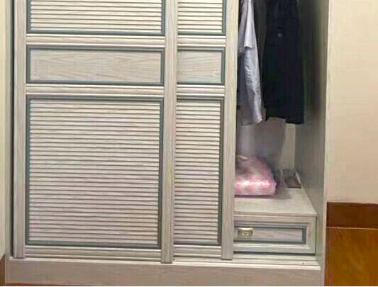 鋁師傅全鋁家具百葉款兩扇移門(mén)衣柜裝修效果圖