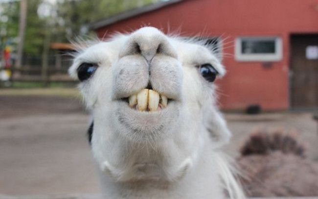 有趣的人怎么打造自己的家？鋁師傅為您揭曉